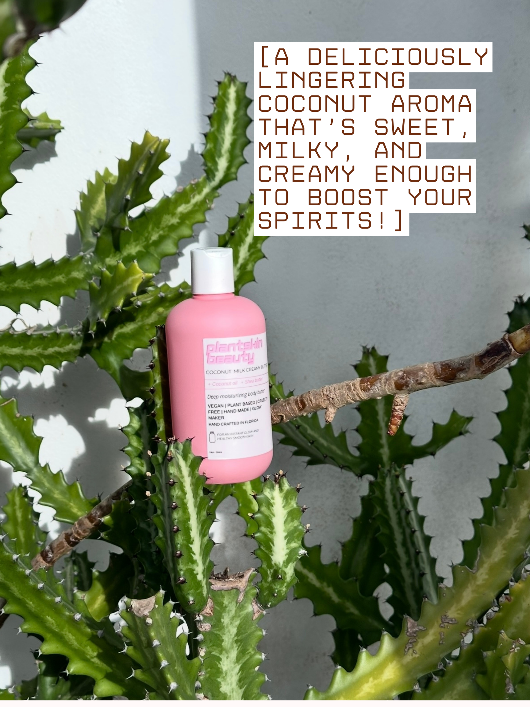 COCONUT MILK CREAMY BUTTER