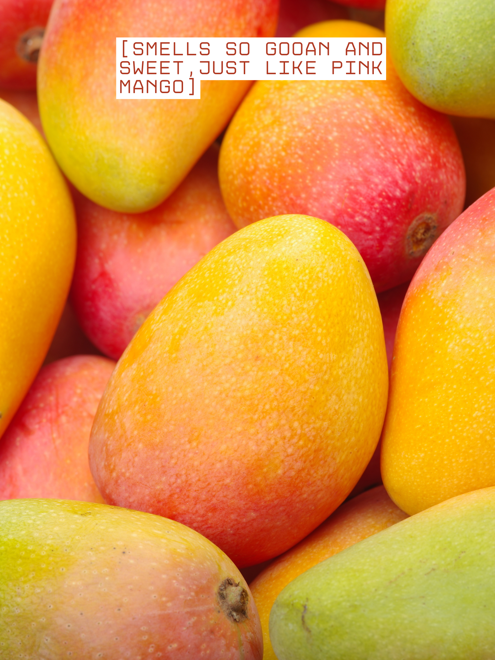 PINK MANGO BODY WASH
